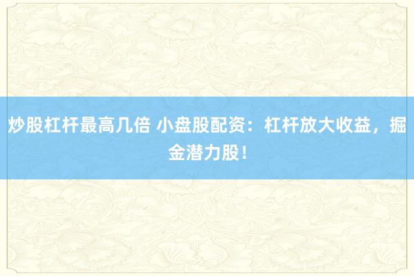 炒股杠桿最高幾倍 小盤股配資：杠桿放大收益，掘金潛力股！